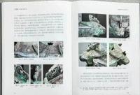 三星堆青銅容器研究