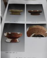 安郷湯家崗 : 新石器時代遺址発掘報告 （上下冊）