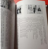 中国壁画全集（17）敦煌、隋（中国美術分類全集）