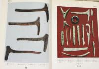 竜虬庄－江淮東部新石器時代遺阯発掘報告