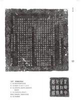 陝西碑刻文獻集成（全20冊）