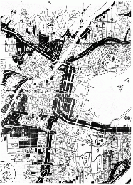 近世絵図地図資料集成　第9巻(越前・若狭/加賀・能登・越中[1])