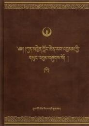 中華大典・蔵文巻・隆欽巴文集（蔵文）　全20巻