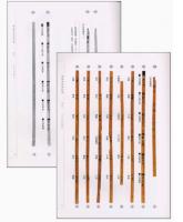 岳麓書院蔵秦簡（全7巻14冊）