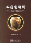 洛陽皀角樹 : 1992〜1993年洛陽皀角樹二里頭文化聚落遺跡発掘報告