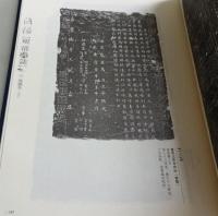 洛陽明清碑志　偃師巻　全2冊