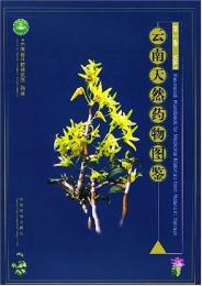 雲南天然薬物図鑑(第1巻)