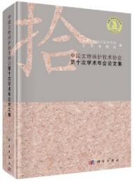 中国文物保護技術協会第十次学術年会論文集