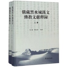 俄蔵黒水城漢文仏教文献釈録　全2冊