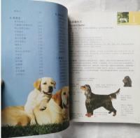中国人最愛養的100種名犬　中国人鑑賞百科