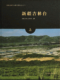 新疆吉林台 全2冊