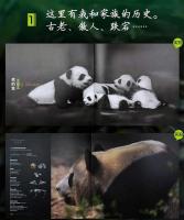 大熊貓的朋友圈