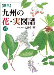 原色　九州の花・実図譜　Ⅵ