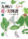 原色　九州の花・実図譜　Ⅵ