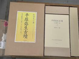 平原弥生古墳　大日霎貴の墓