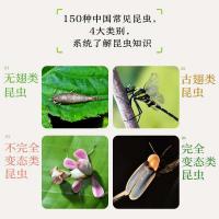 中国常見昆虫観察図鑑（生活観察図鑑）