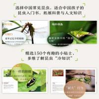 中国常見昆虫観察図鑑（生活観察図鑑）