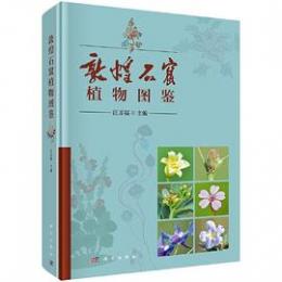 敦煌石窟植物図鑑