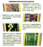 中国高等植物彩色図鑑 １－９（漢英対照）  　