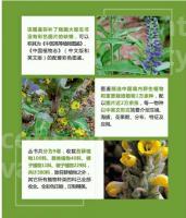 中国高等植物彩色図鑑 １－９（漢英対照）  　