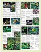 中国高等植物彩色図鑑 １－９（漢英対照）  　
