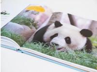 大話萌蘭：大熊猫萌蘭成長図冊