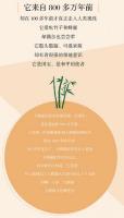 大熊猫：国宝的百年伝奇（中国人文標識系列）