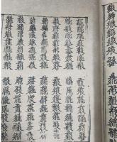 新集錦合辞（西夏文）（線装）西夏文献叢刊