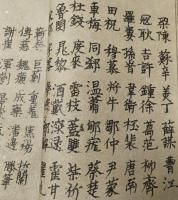 西夏漢文雑字（西夏文）（線装）西夏文献叢刊