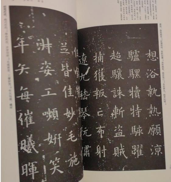 先秦両漢古籍逐字索引叢刊：楚辞逐字索引 精装(商務印書) / 光和