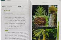 中国西南地区極小種群野生植物図鑑
