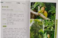 中国西南地区極小種群野生植物図鑑