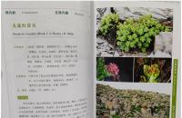 中国西南地区極小種群野生植物図鑑