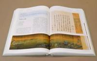 中国名画鑑賞辞典（珍蔵版）全2冊