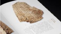 中国古代書法史断代図録・商周巻　