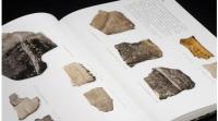 中国古代書法史断代図録・商周巻　