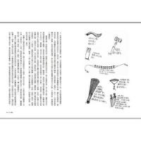 誰在銀閃閃的地方，等你（增訂版）──老年書寫與凋零幻想 INK印刻文学350