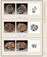 平湖璽印篆刻博物館捐贈封泥図録