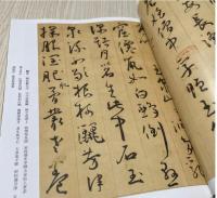 王寵書法精選 中国歴代書法名家作品精選系列