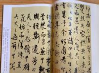 楊維禎書法精選　中国歴代書法名家作品精選系列