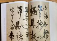 楊維禎書法精選　中国歴代書法名家作品精選系列