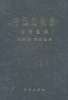 中国動物志：硬骨魚綱　鰻鲡目　背脊魚目