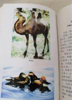 中国珍稀瀕危動物植物辞典