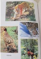 中国珍稀瀕危動物植物辞典