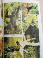 中国珍稀瀕危動物植物辞典