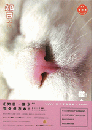 知日．5、猫（第2版）知日:itisJapan:ZHIJP