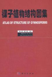 裸子植物結構図集