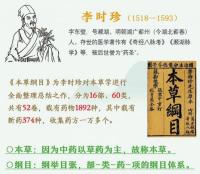 本草綱目(全本挿図版)全5冊
