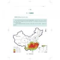 中国中薬資源区劃：重点調査資源分布区劃（中国中薬資源大典）