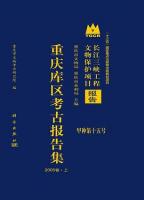 重慶庫区考古報告集．2005巻(全2冊) 長江三峡工程文物保護項目報告 甲種第十五号